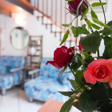 Lejlighed Casa Zu Peppino *